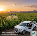Guía Rápida: Rangos Ideales de pH y CE para Cultivos del Centro de Tamaulipas (PDF)