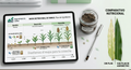Plan de Nutrición Vegetal Estratégico